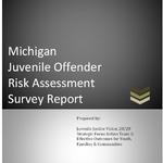 Michigan Juvenile Offender Risk Assessment Survey Report